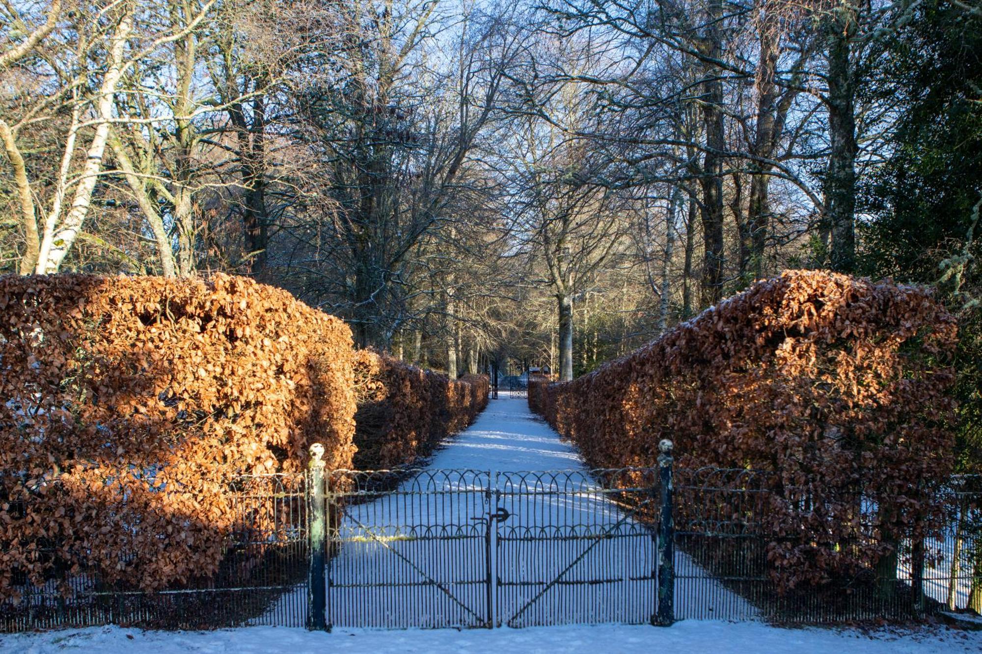 شقة The Bothy At Bowhill سيلكيرك المظهر الخارجي الصورة